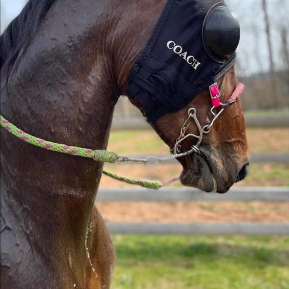 Meet your Posher, Joel - Picture 1 of 1